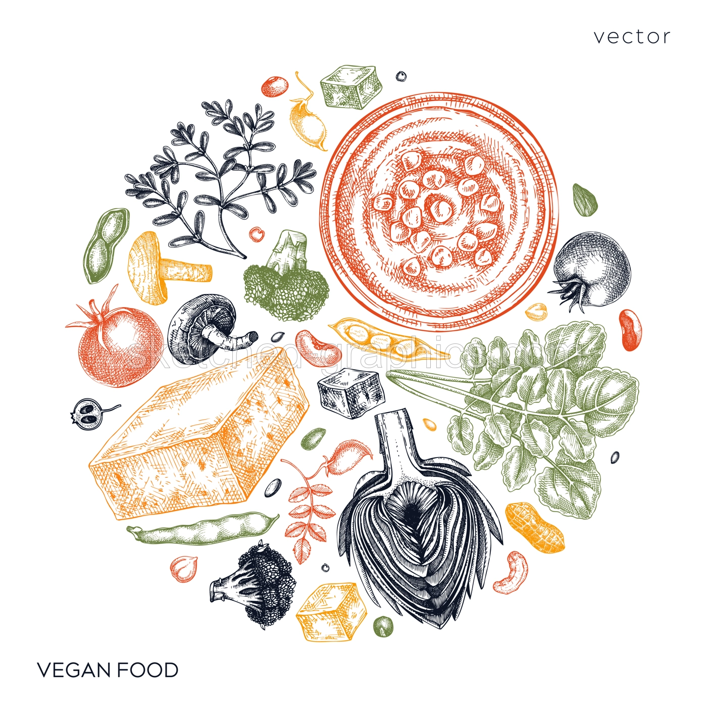 Vegan food sketched card. Healthy food banner template. Middle eastern cuisine illustration. Hand-drawn vegan meals and ingredients for menu, recipe, and packaging design. Vegan food sketches in color Illustration